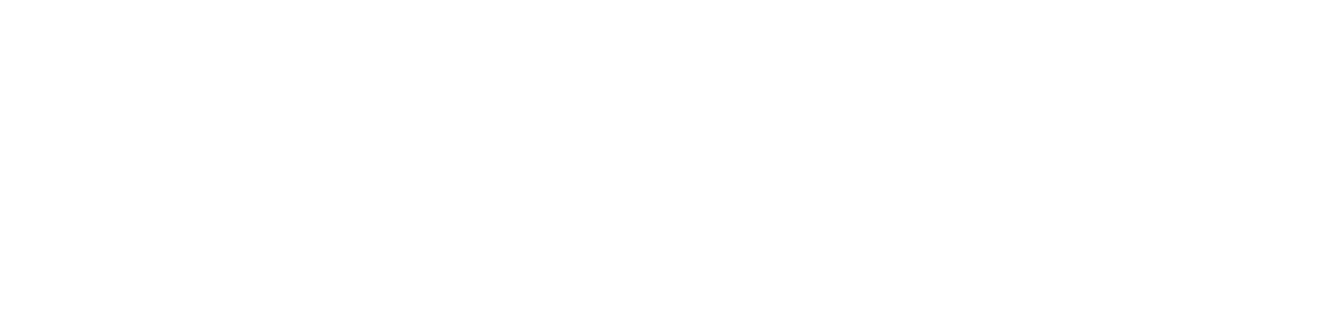 INFO-TECH